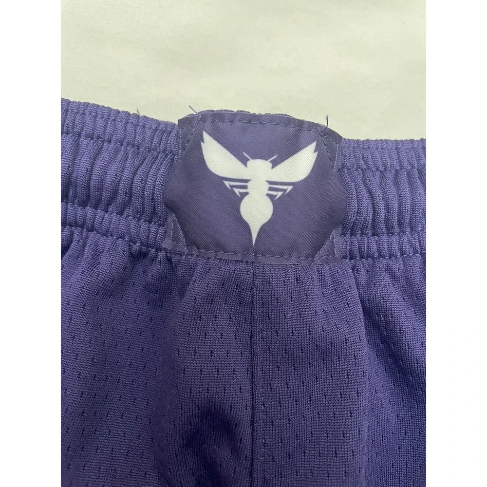Charlotte Hornets Icon Edition YOUTH Nike NBA Swingman Shorts XL Purple‎